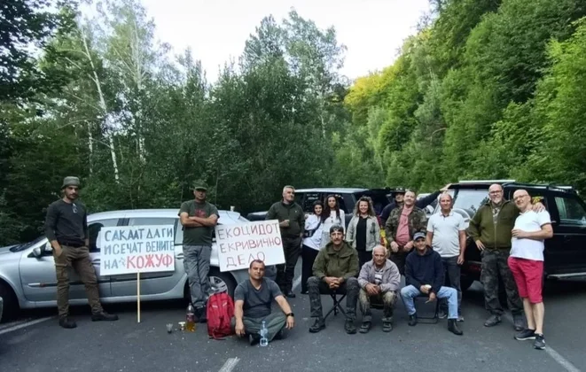 ВИДЕО | „Спас на Дошница“: Владата го продолжи рокот за изградба на мали хидроелектрани и покрај негативните еко-последици